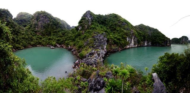 Environmental protection key to preserving Hạ Long Bay 
