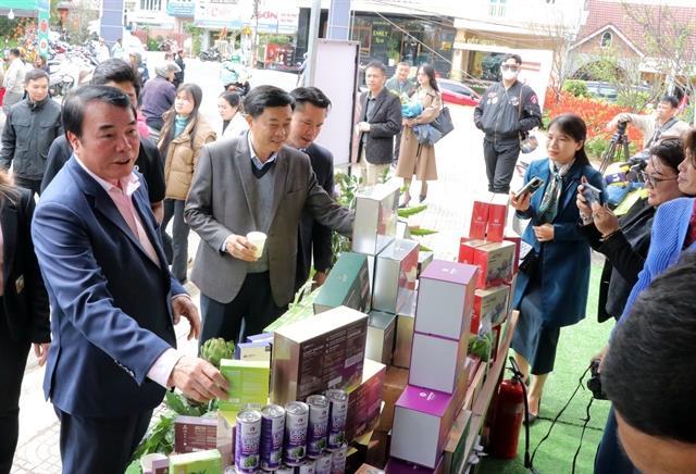 Wine - tea - coffee street launched in resort city of Đà Lạt