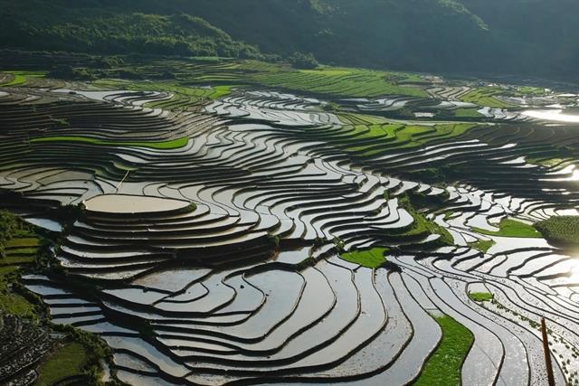 Digital transformation brightens future horizons for Việt Nams tourism