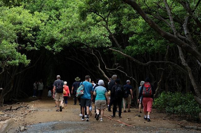 HCM Citys tourism achieves remarkable recovery, growth post-COVID