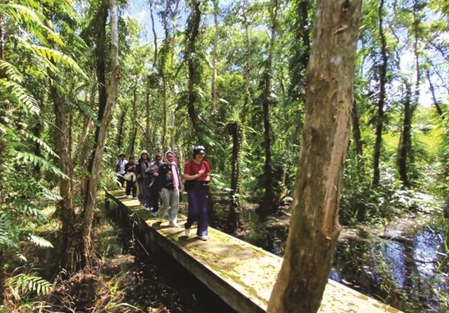 Into the heart of U Minh Hạ forest: Discovering Trẹm River and Mười Ngọt