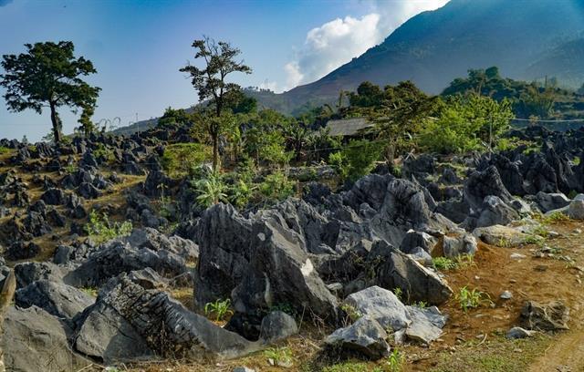 World Travel Awards help Việt Nams eco-tourism take flight

