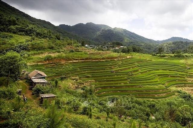 Mừng Hamlet: A blooming village rising as a community tourism gem