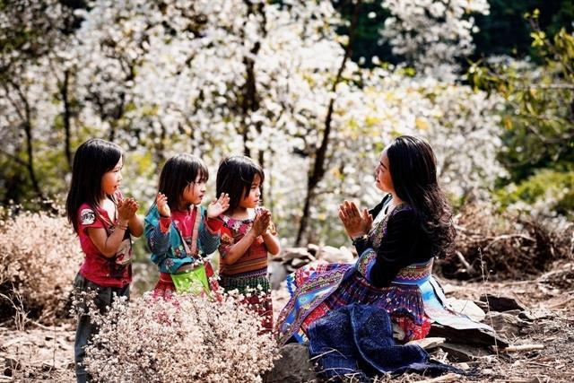 Ban Flower Festival to attract tourists to Điện Biên Province this March