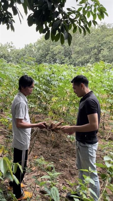 ​​​​​​​Startup adds value to local crop, showcases Vietnamese cuisine globally