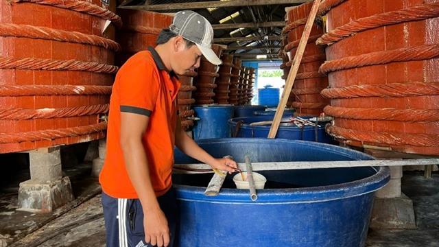 Phú Quốc to host first fish sauce festival this month