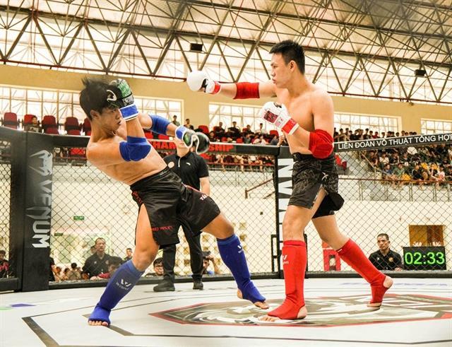 Thái Nguyên dominate first National Mixed Martial Arts Clubs Championships