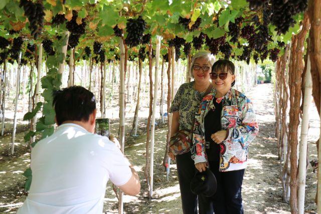 Khánh Hoà diversifies its fruits to enhance farmers income