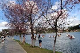 Đà Lạt among Asias most affordable summer getaways