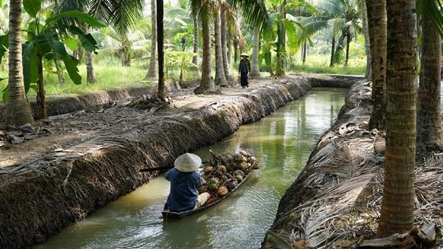 Free movies to be screened for national holiday
