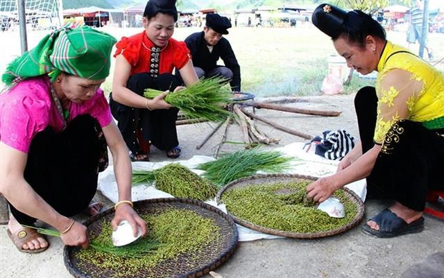 Ngọc Chiếns new rice festival to celebrate culture and community