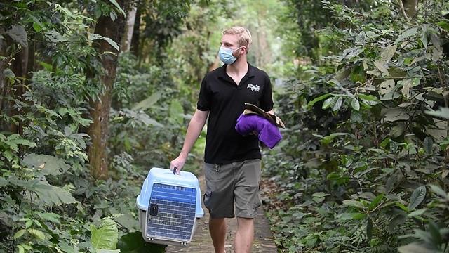 German mans journey to protect Việt Nams endangered primates