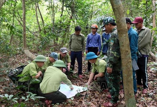 Community-led conservation thrives in Phong Nha – Kẻ Bàng National Park