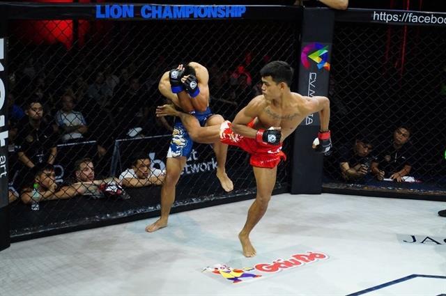 Việt Nam embraces MMA as a path to international success